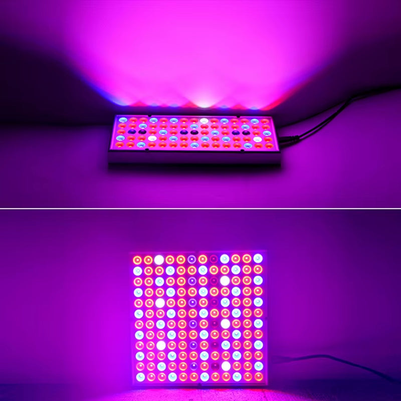 2Pcs Led Grow Lights 500W 100W Full Spectrum Phyto Lamp for Plants Red Blue White IR UV Led for Indoor Plants Flowers Growing